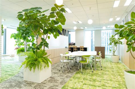 office 植物